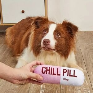 Dog Squeek Plush Toy PINK